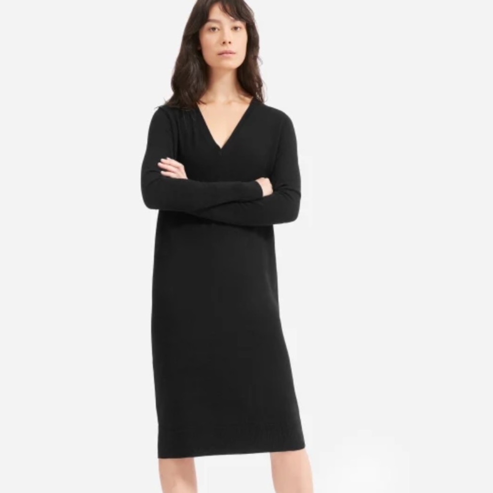 Everlane cashmere midi sweater dress